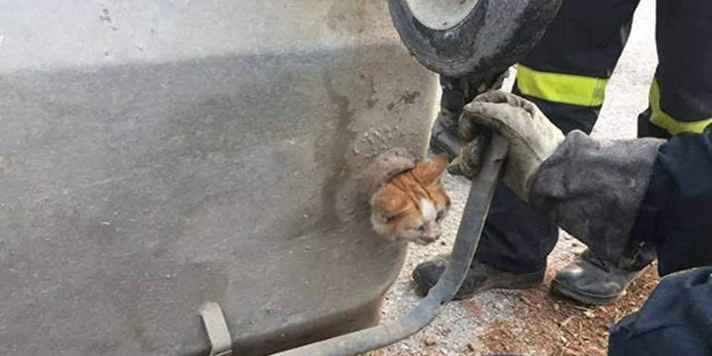 Ηρωική προσπάθεια πυροσβεστών: Απεγκλώβισαν γατάκι από μικροσκοπική τρύπα! [εικόνες]