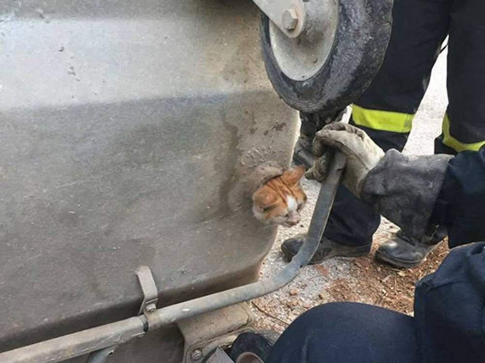 Ηρωική προσπάθεια πυροσβεστών: Απεγκλώβισαν γατάκι από μικροσκοπική τρύπα! [εικόνες]