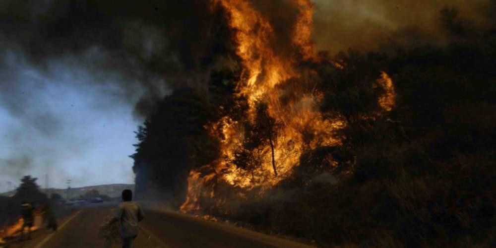 Μεγάλη φωτιά στην Ερμιόνη