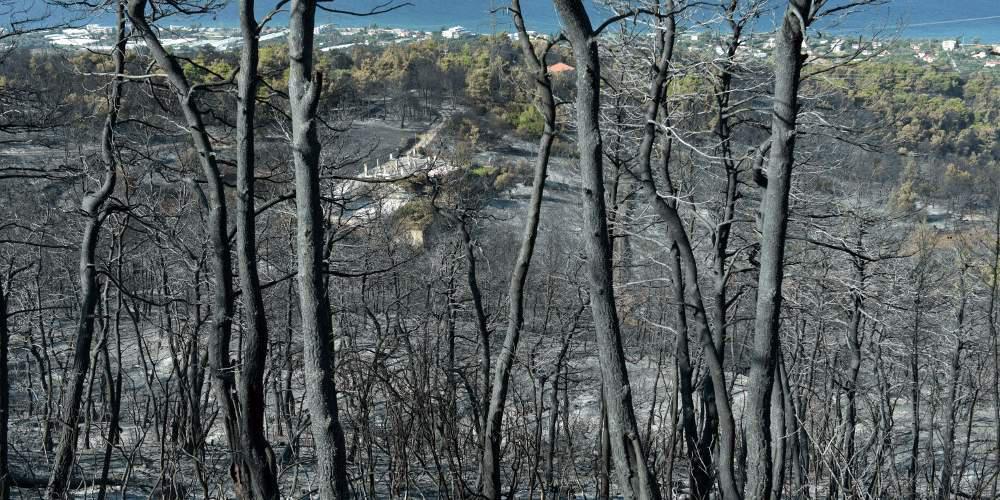 Στα καμένα της Ζακύνθου βρέθηκαν βουλευτές της ΝΔ