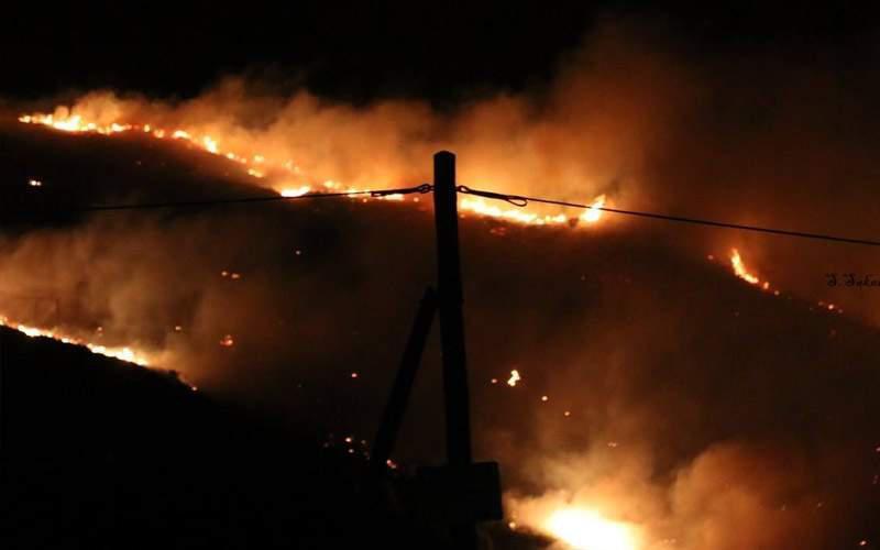 Υπό έλεγχο η πυρκαγιά στα Σιμωτάτα της Κεφαλονιάς [εικόνες]