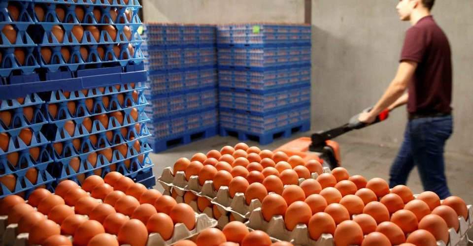 Εκτακτη σύσκεψη στην Κομισιόν για το σκάνδαλο με τα μολυσμένα αυγά