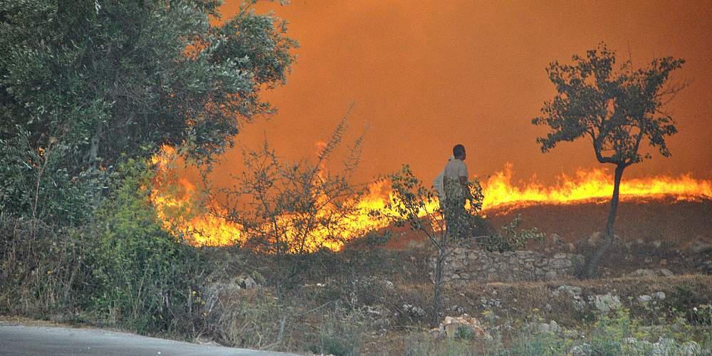 Τα «ιδιωτικά δάση» στην Ζάκυνθο και ο συσχετισμός με το μπαράζ των πυρκαγιών