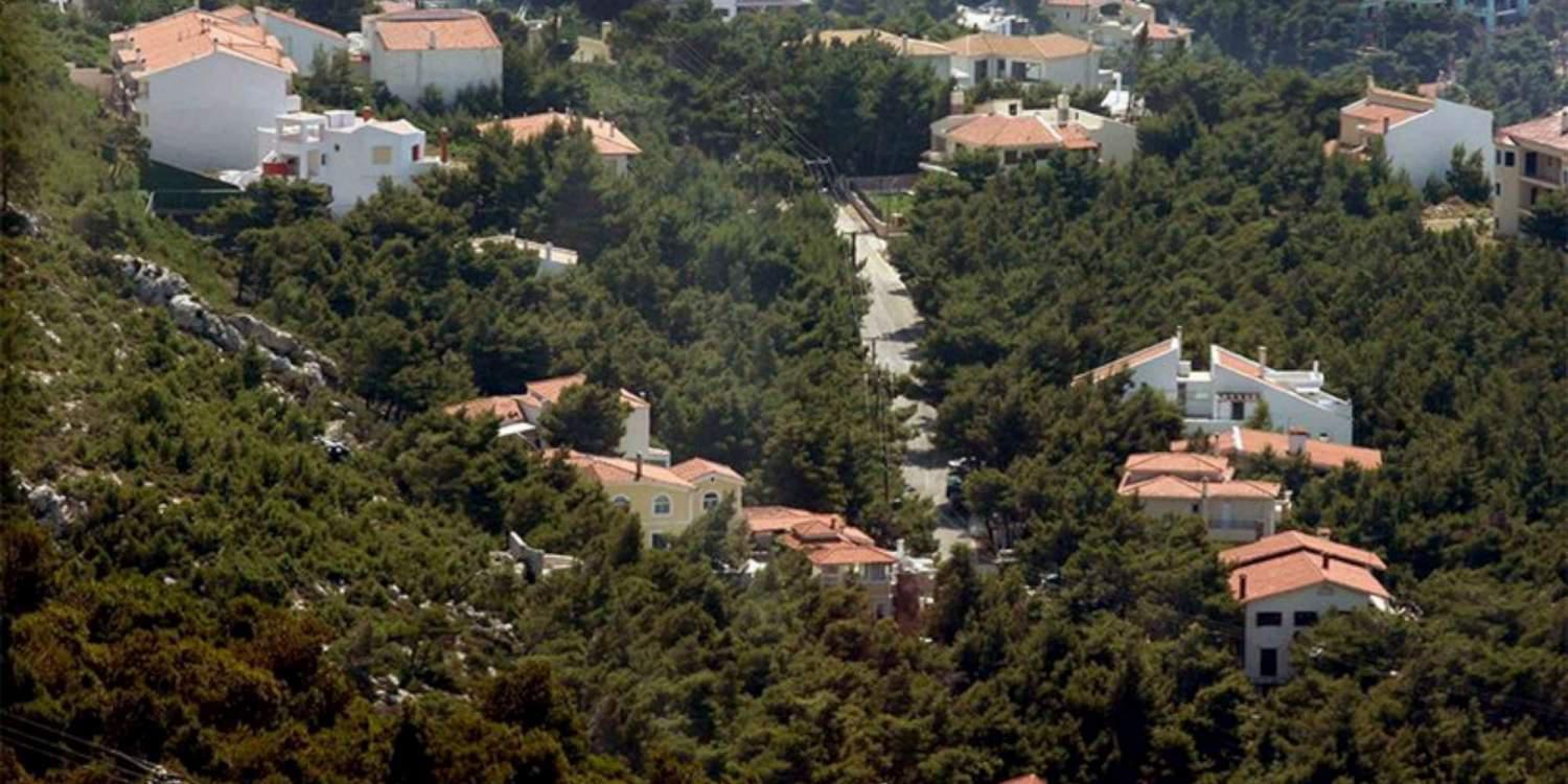 Δασικοί χάρτες: Τα 8 SOS για τους ιδιοκτήτες από την αγρονόμο τοπογράφο μηχανικό Γραμματή Μπακλατσή