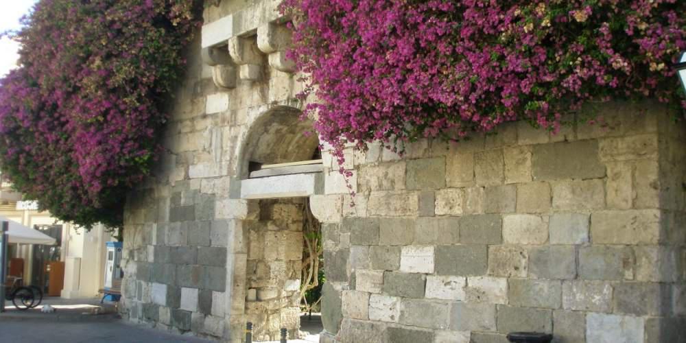 Χάσαμε τα πασχάλια, μη χάσουμε και τ’ αβγά