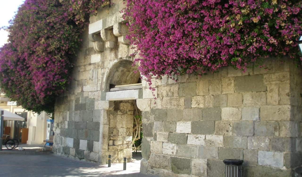 Χάσαμε τα πασχάλια, μη χάσουμε και τ’ αβγά