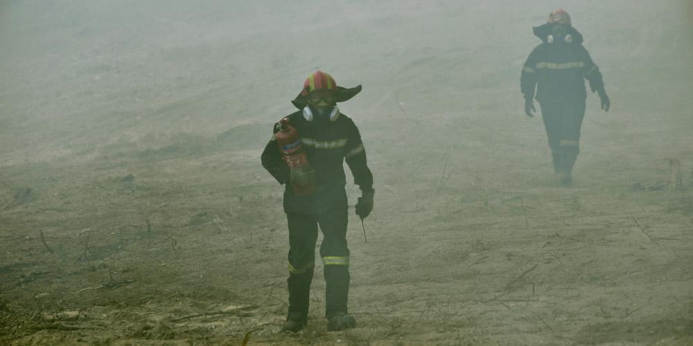 Συνελήφθησαν δύο ύποπτοι για εμπρησμό στις πυρκαγιές σε Ηλείας και Μεσσηνία