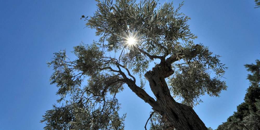 Πρόγνωση καιρού: Αίθριος, ως 27 βαθμούς η θερμοκρασία