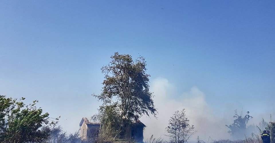 Μεγάλη φωτιά ξέσπασε στα Λεχαινά Ηλείας [εικόνες]