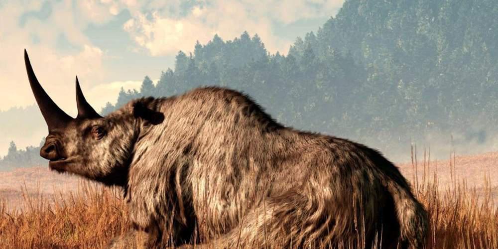 Μεγαλόσωμα και μικρόσωμα ζώα κινδυνεύουν περισσότερο με εξαφάνιση
