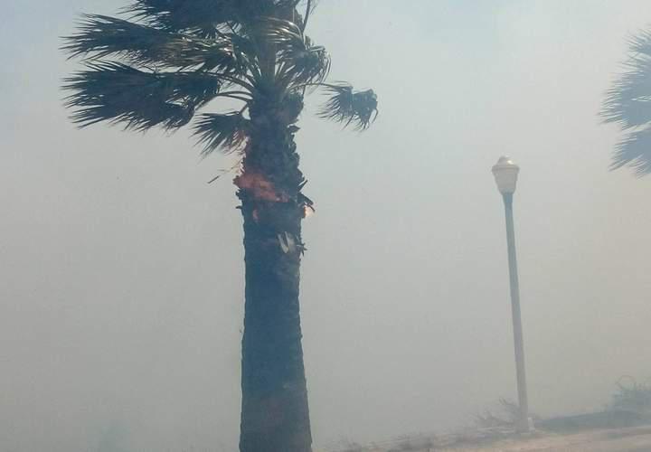 Μεγάλη φωτιά κοντά σε σπίτια στην Ρόδο [εικόνες & βίντεο]