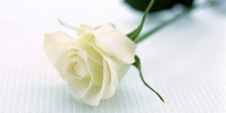 Πέθανε η Ζώγια Χρονάκη-Παπαμίχου - Από τις σημαντικότερες μορφές του φεμινιστικού κινήματος