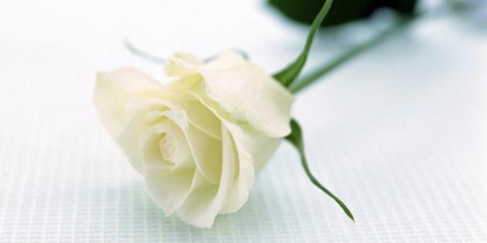 Πέθανε η Ζώγια Χρονάκη-Παπαμίχου - Από τις σημαντικότερες μορφές του φεμινιστικού κινήματος