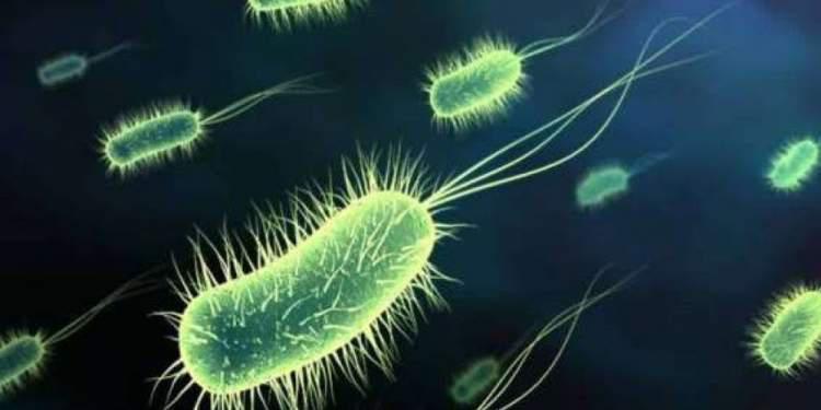 Η ζωή βρήκε τον τρόπο: Τα μικρόβια στο Διεθνή Διαστημικό Σταθμό επιβιώνουν στο διάστημα