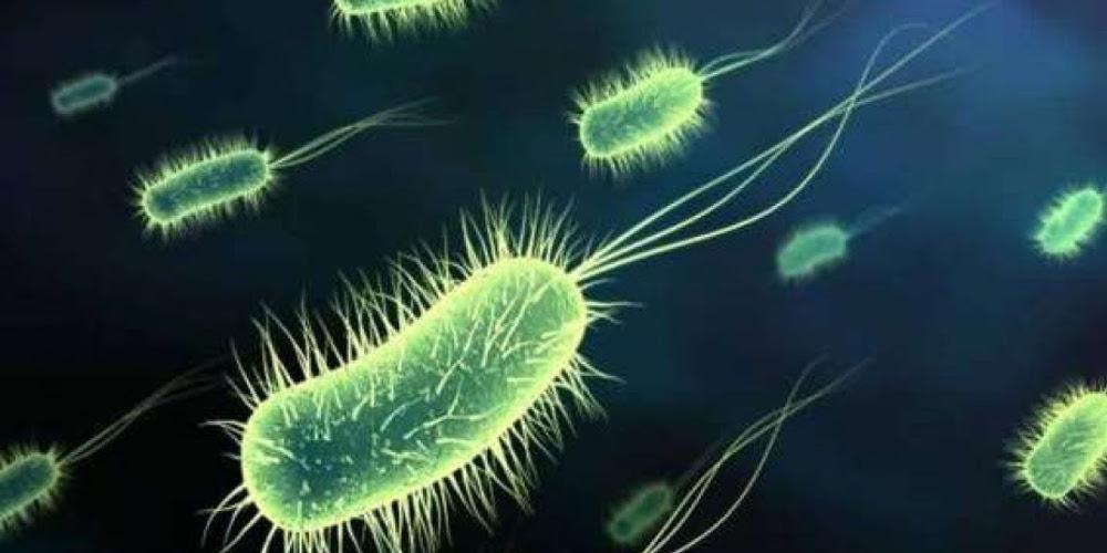 Η ζωή βρήκε τον τρόπο: Τα μικρόβια στο Διεθνή Διαστημικό Σταθμό επιβιώνουν στο διάστημα