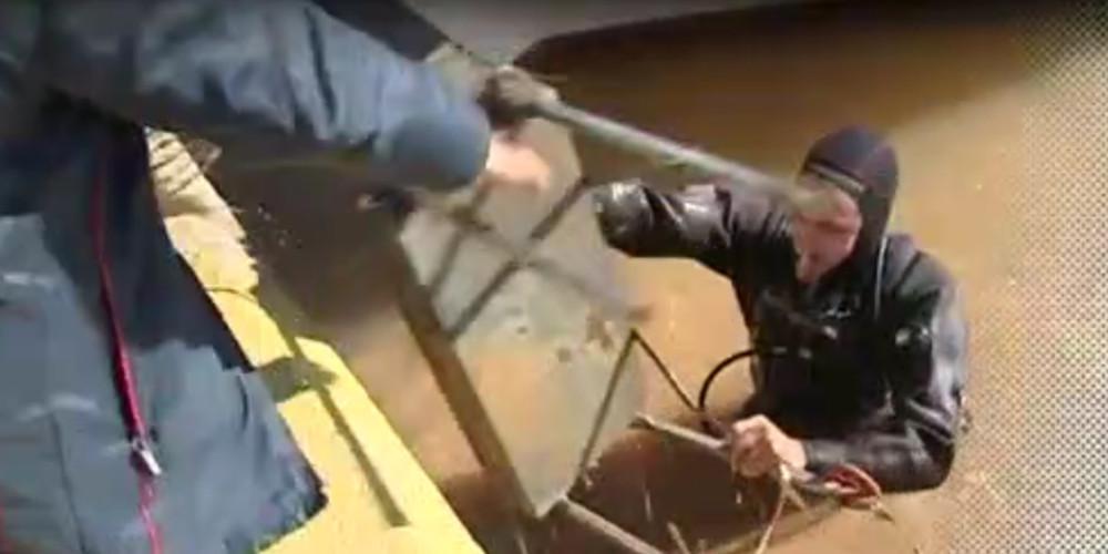 Σκουπίδια και νεκρά ζώα στο λιμάνι της Νέας Περάμου [βίντεο]