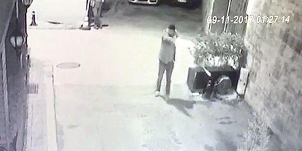 Έβγαλε όπλο στον δρόμο και άρχισε να πυροβολεί αδέσποτες γάτες