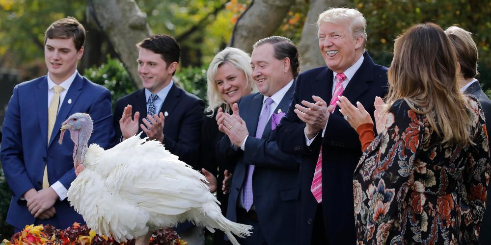 Ο Τραμπ έδωσε χάρη στη γαλοπούλα Ντράμστικ πριν τη γιορτή των Ευχαριστιών