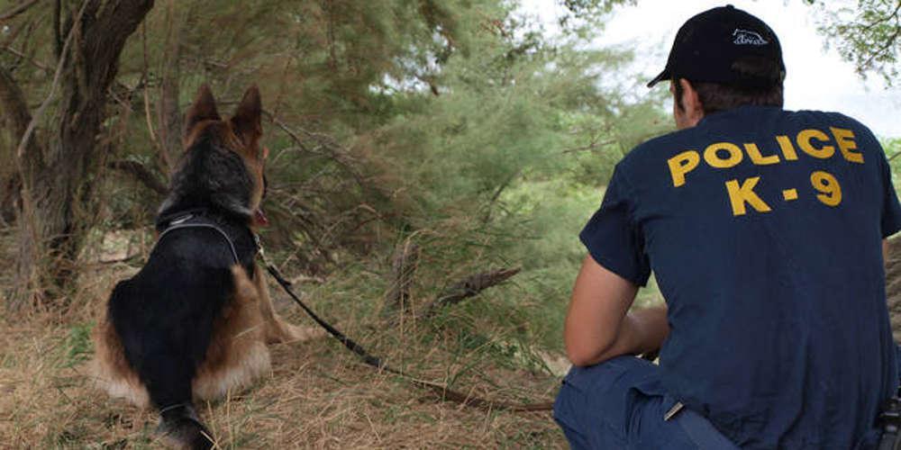 Πέθανε η Grace - Το λυκόσκυλο της ΕΛ.ΑΣ. που ανίχνευε εκρηκτικά