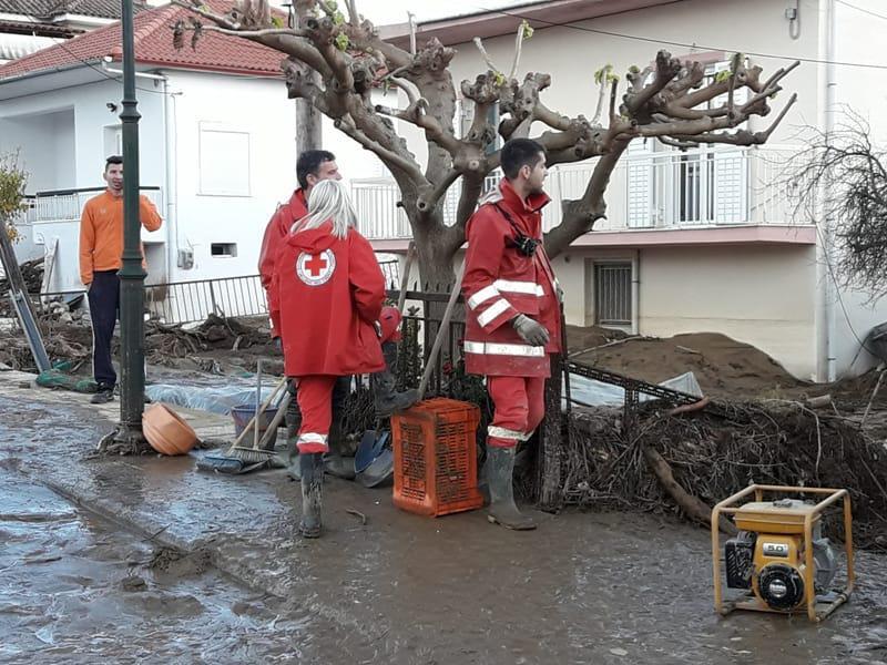 Εσωτερική εικόνα άρθρου