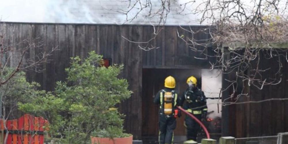 Μεγάλη φωτιά στον Ζωολογικό Κήπο του Λονδίνου: Δεν κινδύνεψαν ζώα [βίντεο]