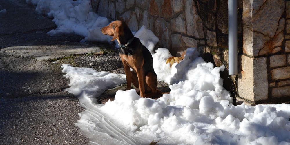 Καιρός: Πέφτει κι άλλο η θερμοκρασία, χιόνια, καταιγίδες