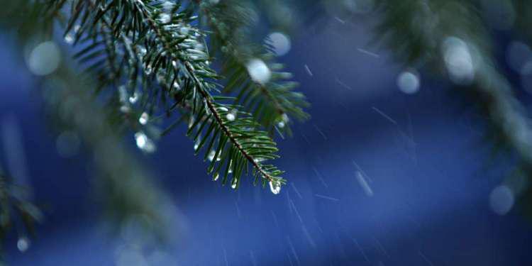 Καιρός: Πτώση της θερμοκρασίας – Έρχεται μέχρι και παγετός