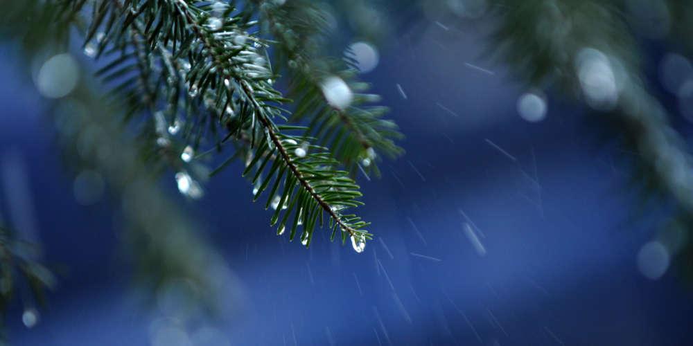 Καιρός: Πτώση της θερμοκρασίας – Έρχεται μέχρι και παγετός