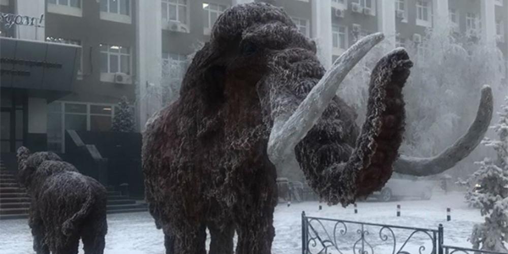 Δύο μαμούθ «εμφανίστηκαν» στη Σιβηρία! [εικόνες]