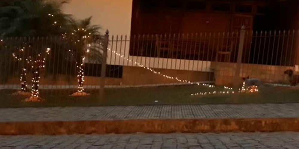 Σκύλος και λαμπάκια