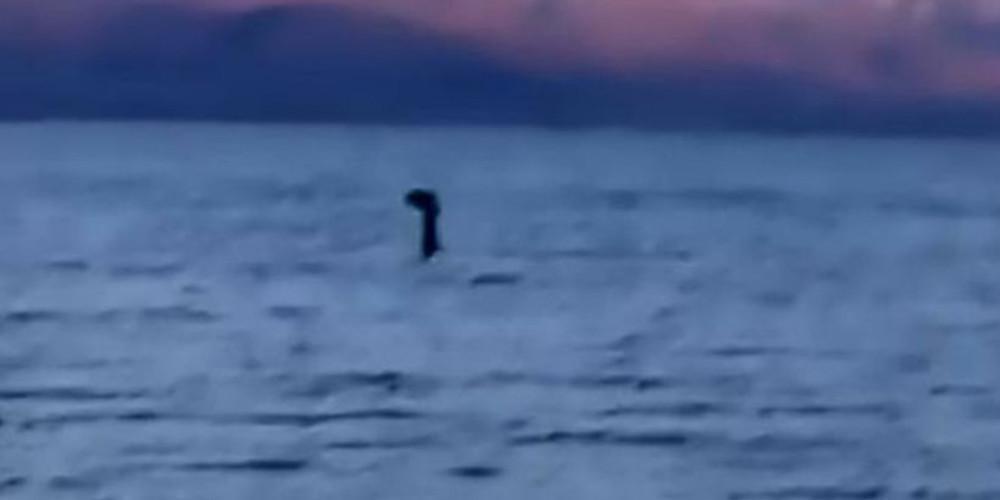 Τέρας του Λοχ Νες: Ξεκινά η μεγαλύτερη έρευνα των τελευταίων ετών με drones και θερμικές κάμερες Λύθηκε το μυστήριο; Το τέρας του Λοχ Νες είναι ένα γιγαντιαίο... χέλι