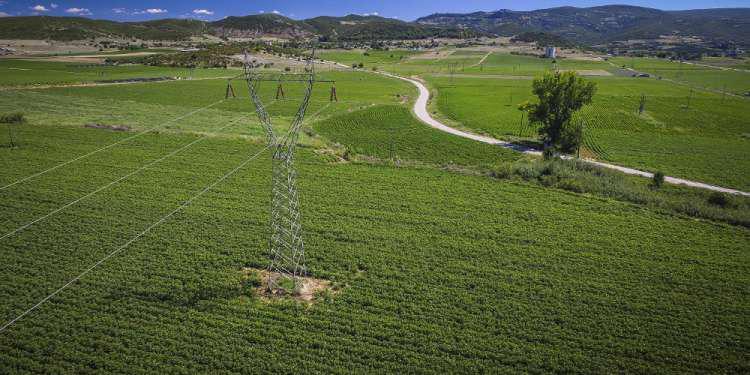 Επιβεβαίωση του «Ε.Τ.»: Επιδοτήσεις χωρίς «ταυτότητα» για τα μισθωμένα χωράφια
