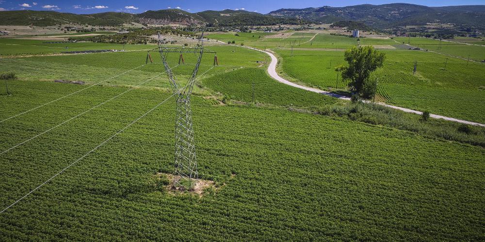 Επιβεβαίωση του «Ε.Τ.»: Επιδοτήσεις χωρίς «ταυτότητα» για τα μισθωμένα χωράφια