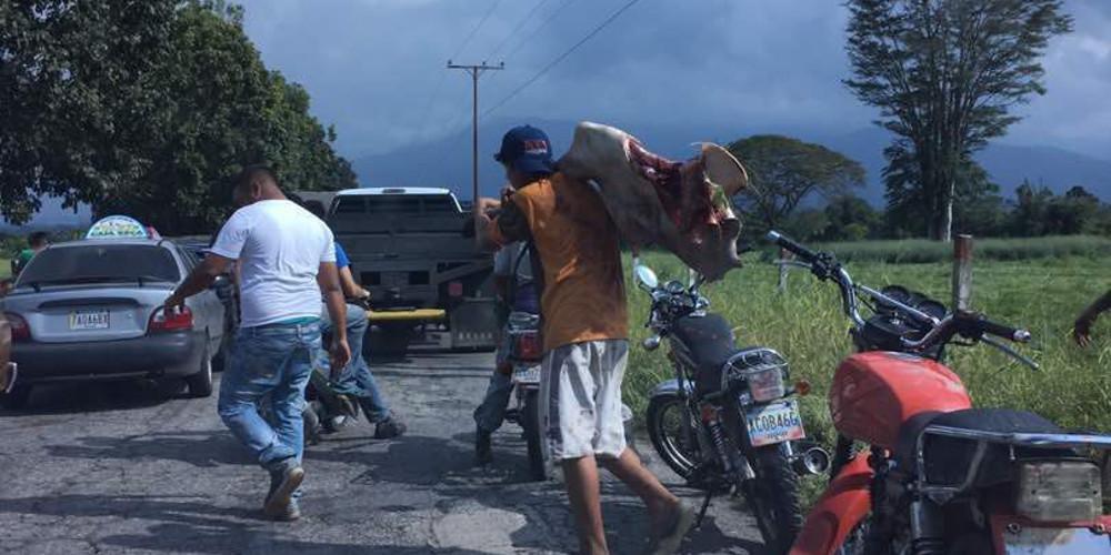 Βίντεο-σοκ: Σκοτώνουν αγελάδα για να την φάνε στην μέση ενός χωραφιού στην Βενεζουέλα