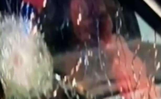 Ντοκουμέντα από τη δολοφονία Στεφανάκου