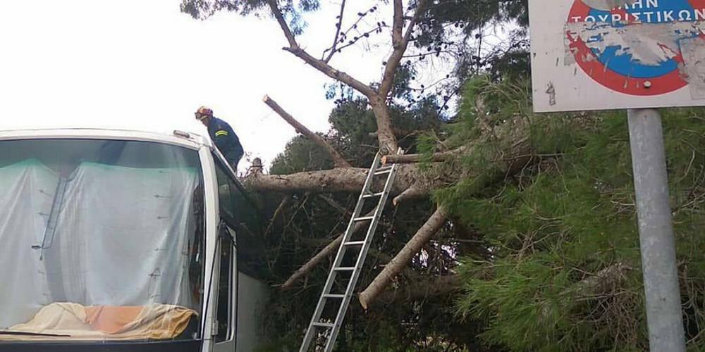 Προσοχή: Πτώσεις δέντρων στην Αττική λόγω ισχυρών ανέμων – Κλειστή η λεωφόρος Αλεξάνδρας