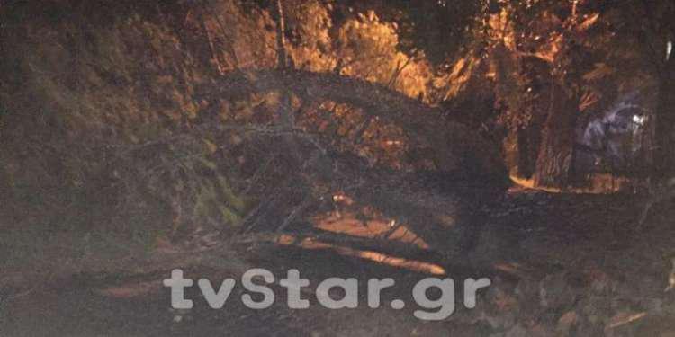 Ανεμοστρόβιλος στη Φθιώτιδα