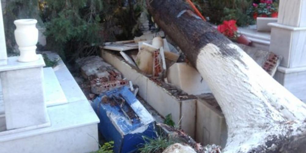 Ξεριζώθηκαν δέντρα στο παλαιό κοιμητήριο Αχαρνών [εικόνες]
