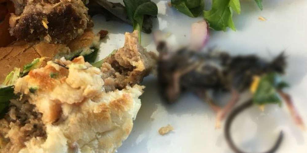 Φρίκη: Βρήκε νεκρό ποντίκι στο μπέργκερ του [εικόνα]