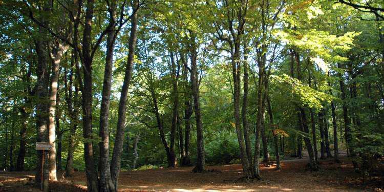 Περιβάλλοντος