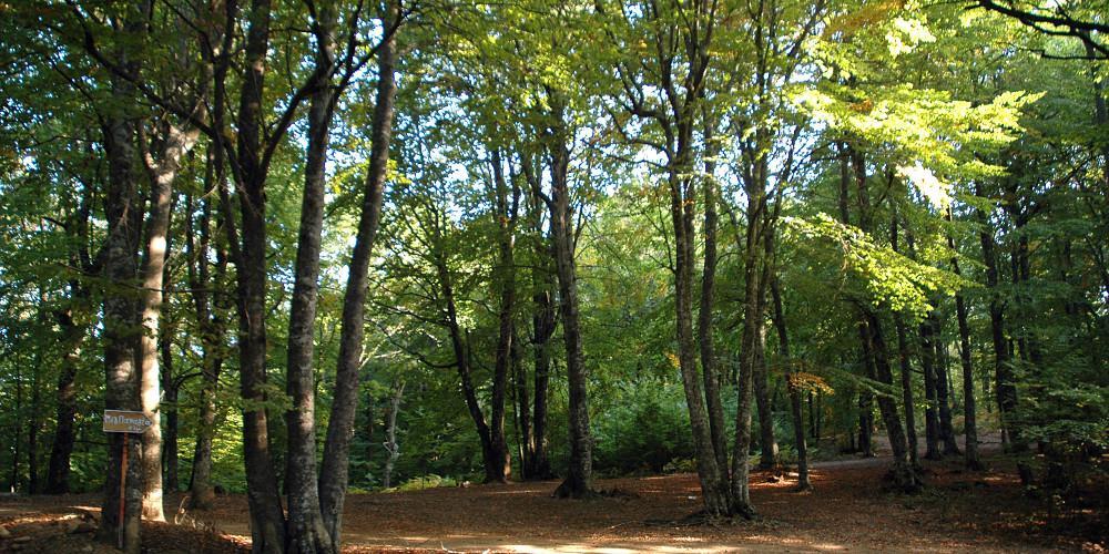 Περιβάλλοντος