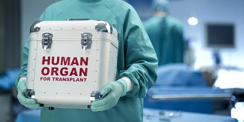 Δωρίζουν τα όργανά του - Μεγαλείο ψυχής από τους γονείς του 12χρονου που σκοτώθηκε στη Γαστούνη