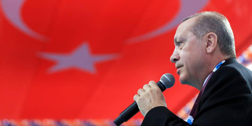 «Θέλω να δω τον παππού Ερντογάν» - Κοριτσάκι κλαίει για να πάει στο Παλάτι [βίντεο]