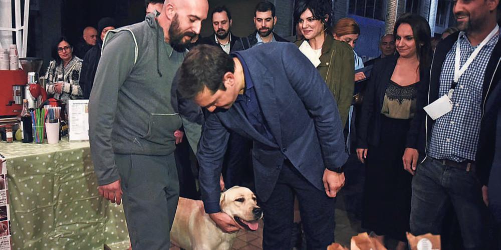 Απέτυχαν με τα κατοικίδια και θα τα καταφέρουν με το χρέος;