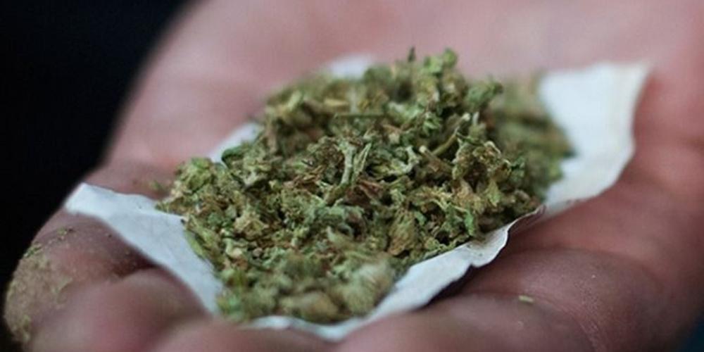 «Μερακλής» καλλιεργούσε χασισόδεντρα στο μπαλκόνι του στην Μεσσήνη