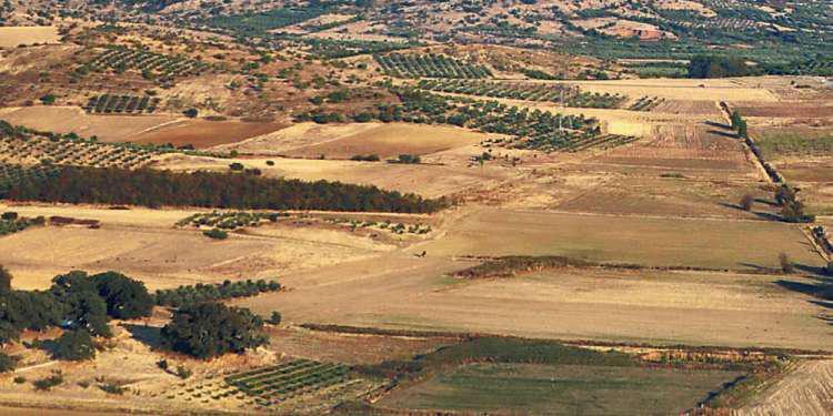 Οριστική λύση για τους δασικούς χάρτες: Άμεση αξιοποίηση ακινήτων για όσους δικαιώνονται