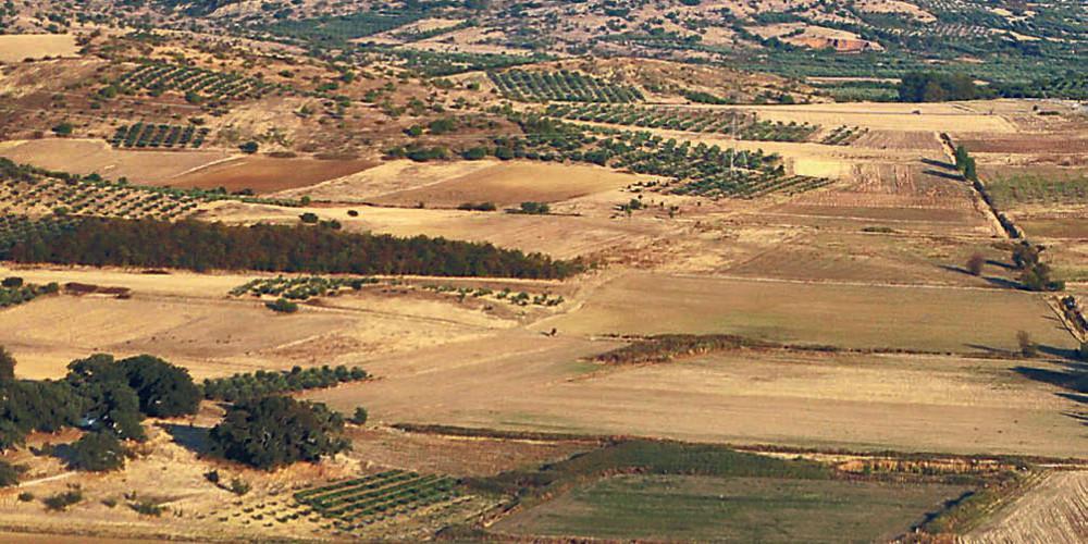 Οριστική λύση για τους δασικούς χάρτες: Άμεση αξιοποίηση ακινήτων για όσους δικαιώνονται