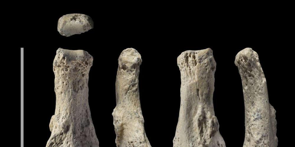 Βρέθηκε απολίθωμα του Homo Sapiens ηλικίας 90.000 ετών