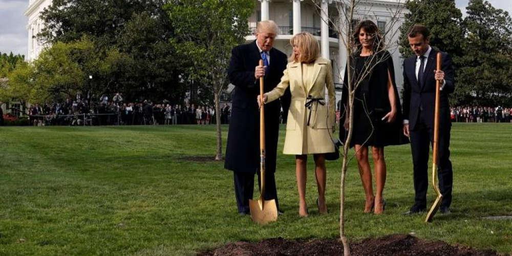 Σε καραντίνα το δέντρο που δώρισε ο Μακρόν στον Τραμπ