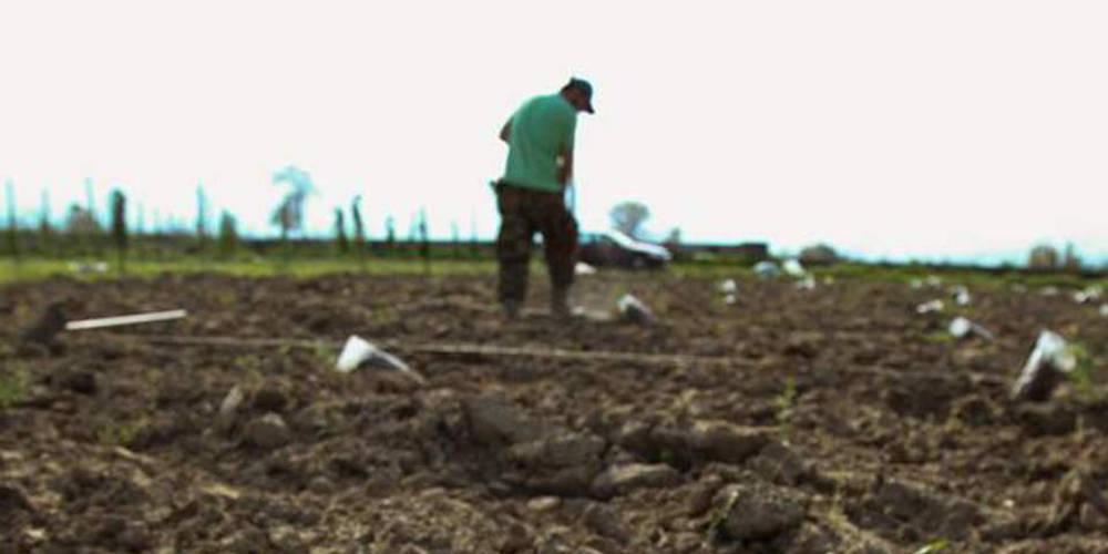 χωράφια εξαγορά καταπατημένων εκτάσεων